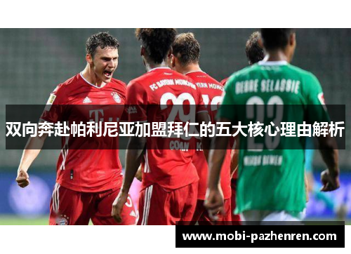 双向奔赴帕利尼亚加盟拜仁的五大核心理由解析