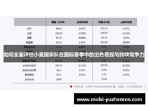 如何全面评估小麦国家队在国际赛事中的出色表现与持续竞争力