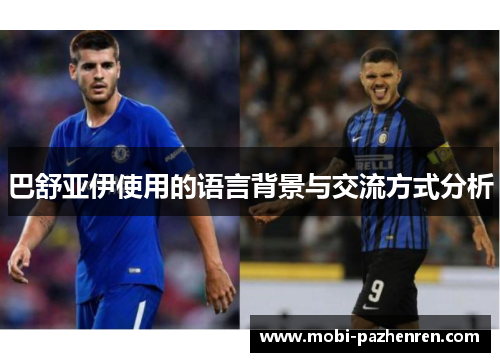 巴舒亚伊使用的语言背景与交流方式分析