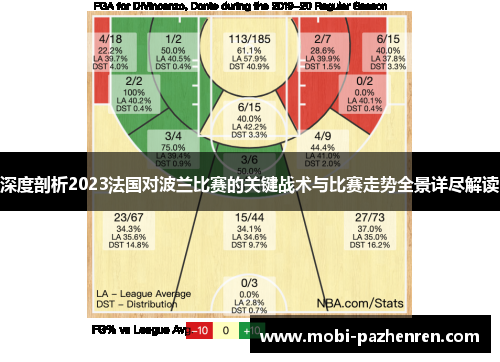 深度剖析2023法国对波兰比赛的关键战术与比赛走势全景详尽解读