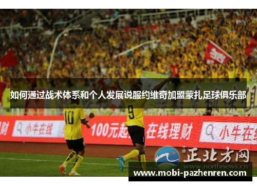 如何通过战术体系和个人发展说服约维奇加盟蒙扎足球俱乐部